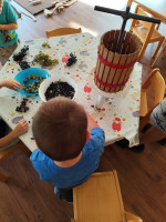 /album/szureti-mustkeszites/img-20250923-094016-jpg/