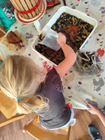 /album/szureti-mustkeszites/img-20250923-095217-jpg/