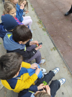 /album/rendosegi-bemutato-2026/img-20260423-104541-jpg/